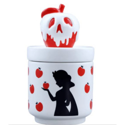 Coffret Blanche Neige Disney