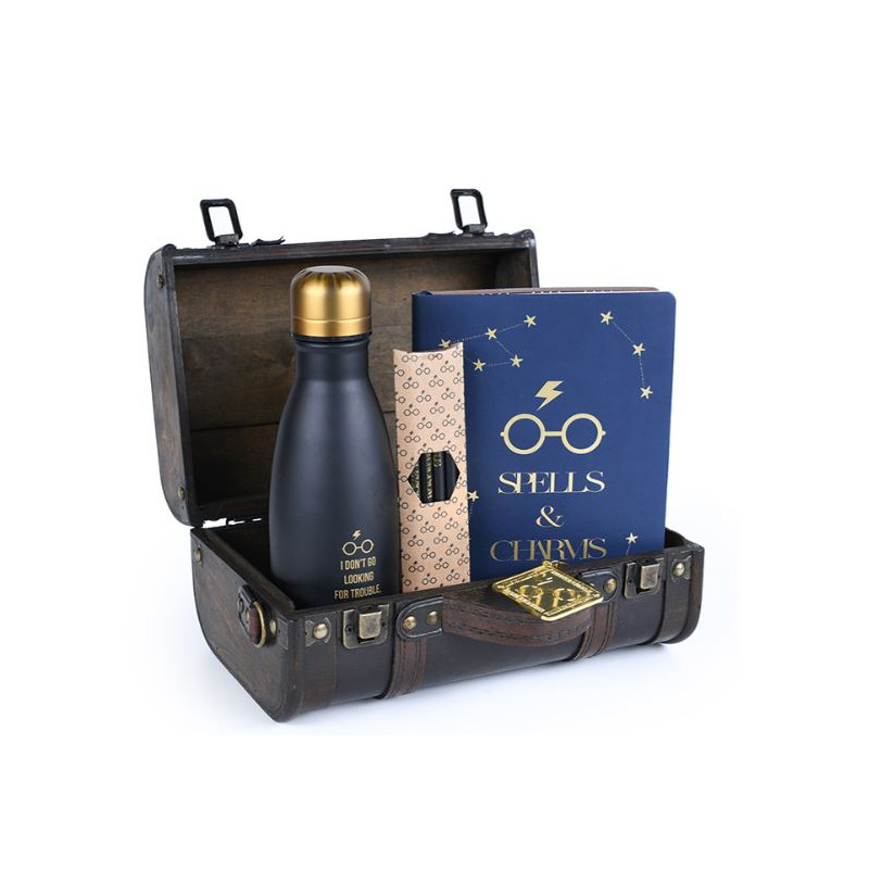 HARRY POTTER - Trouble Finds Me - Valise gift set premium