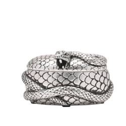 Nagini Boîte à Bijoux...