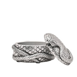 Nagini Boîte à Bijoux Argenté HARRY POTTER