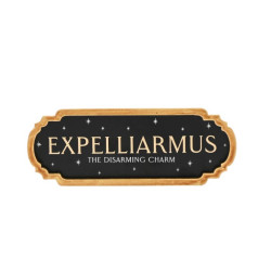 HARRY POTTER Expelliarmus...