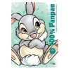 LIVRE DE COLORIAGE 100 % Panpan DISNEY