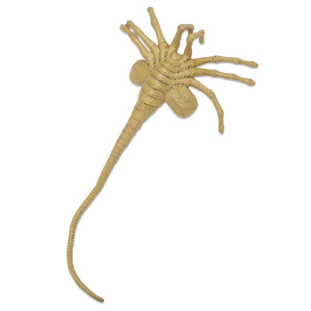Réplique Facehugger Aliens 105cm