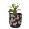 MICKEY Shapes Black&White Pot + Fausse Plante