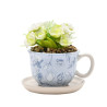 Tasse Décorative + Fausse Plante ALICE AUX PAYS DES MERVEILLES - Disney