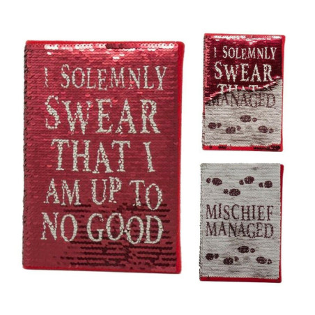 CARNET SEQUIN MARAUDEUR