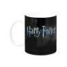 Mug luxe Harry vs Voldemort Harry Potter