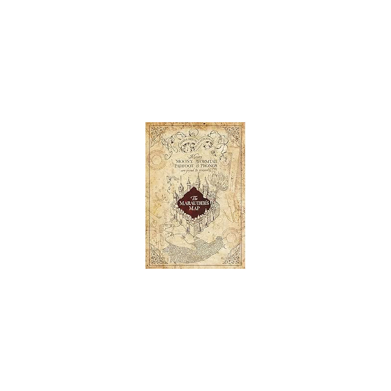HARRY POTTER CADRE CARTE DU MARAUDER 50X100CM