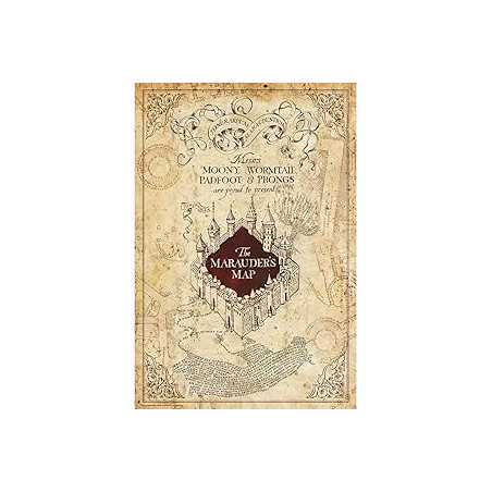 HARRY POTTER CADRE CARTE DU MARAUDER 50X100CM