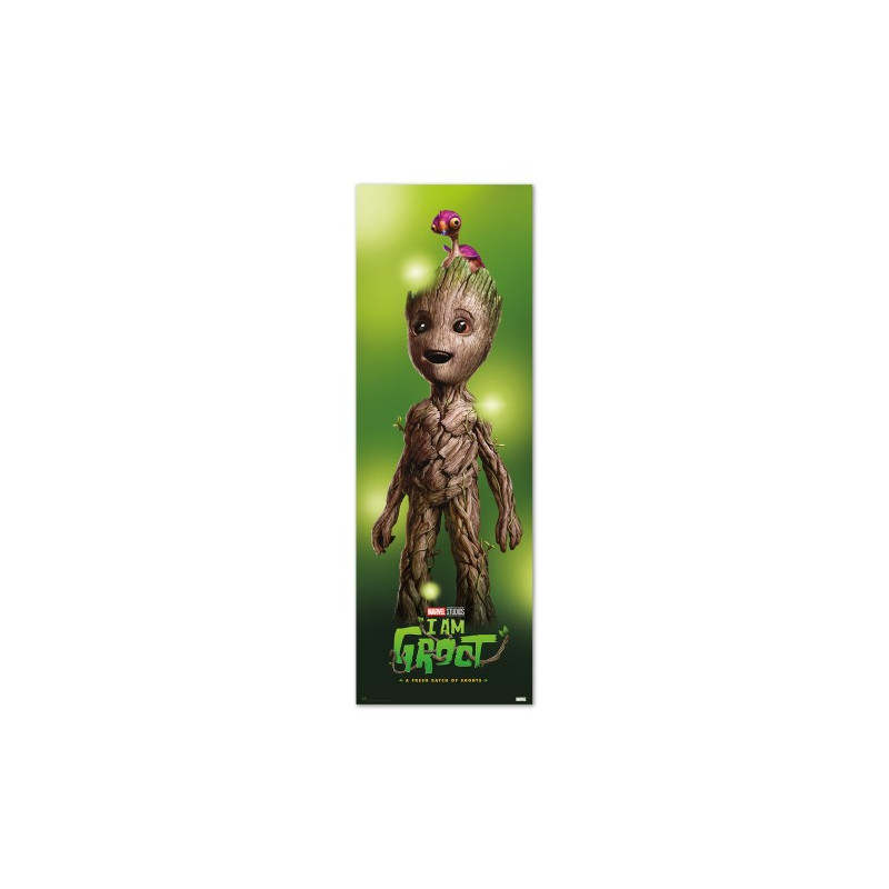 POSTER PORTE MARVEL JE S'APPELLE GROOT