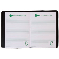 Journal de Elphaba Wicked Loungefly