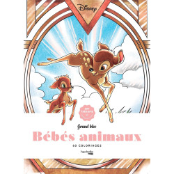 Grand bloc Disney Bébés...