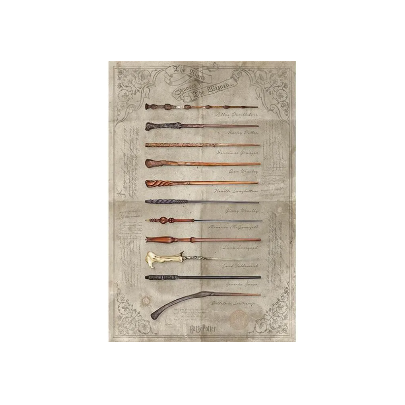 Poster la Baguette choisie son sorcier
