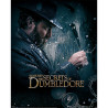 Mini Poster (Dumbledore Watch - The Secret of Dumbledore) Fantastic Beasts les animaux fantastiques