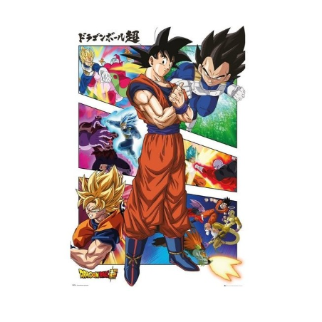 Poster Dragon Ball Z Panel