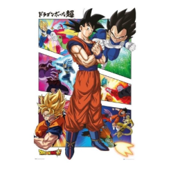 Poster Dragon Ball Z Panel