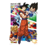 Poster Dragon Ball Z Panel