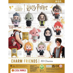 DISPLAY CHARM FRIENDS HARRY POTTER FIGURINE