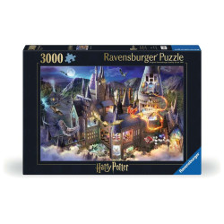 HARRY POTTER - Vue sur le château de Poudlard - Puzzle 3000pcs