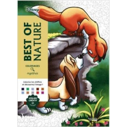 Coloriages mystères Disney...