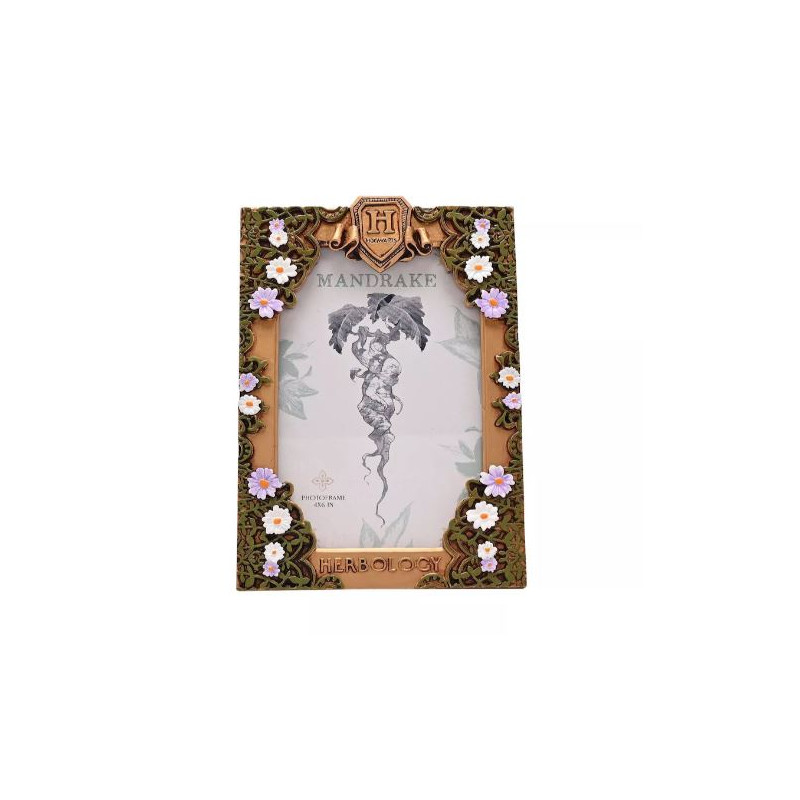 HARRY POTTER - Herbologie - Cadre Photo 3D