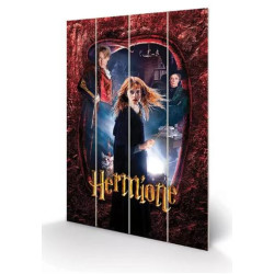 Panneau en bois Hermione