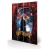 Panneau en bois Hermione