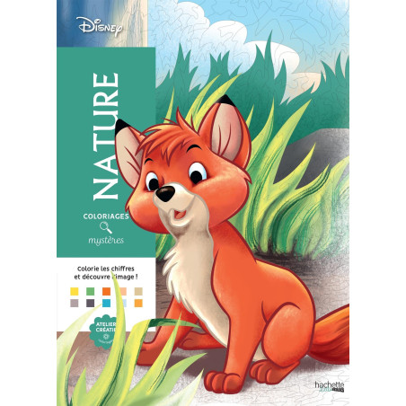 Coloriage Mystères Nature Disney