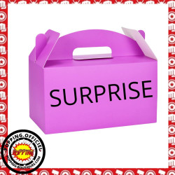 SAC SURPRISE SURPRISE - Avec Cadeau