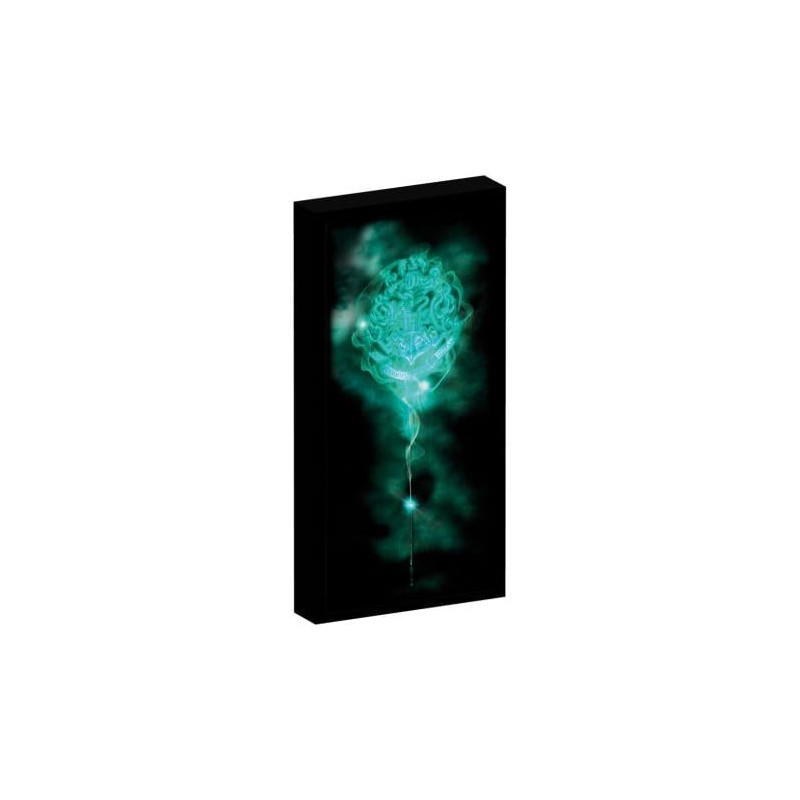 HARRY POTTER - Canvas avec 6 lumières LED 20X3X40cm