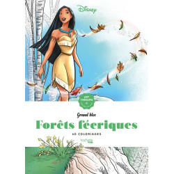 Les grands blocs Disney...