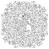 Coloriage Mandalas Disney - Fleurs