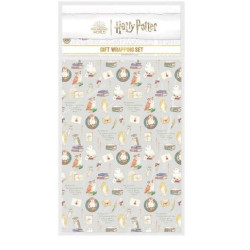SET DE PAPIER CADEAU HARRY POTTER