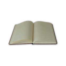 CARNET HARRY POTTER BLASONS POUFSOUFFLE