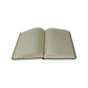 CARNET HARRY POTTER BLASONS POUFSOUFFLE