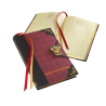 Journal - Gryffondor - Harry Potter