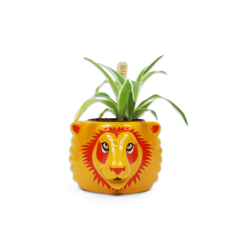 Pot à plantes - Gryffondor - Harry Potter