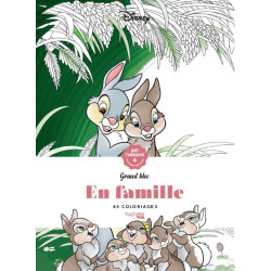 Coloriage En Famille Disney Cahier