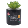 Faux pot à plantes - Alice aux pays des merveilles - Disney