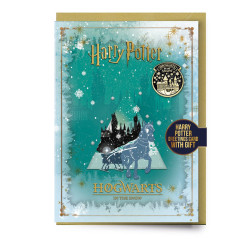 HARRY POTTER - Poudlard...