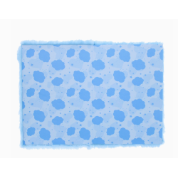 CARNET BISOUNOURS TOUTRONCHON