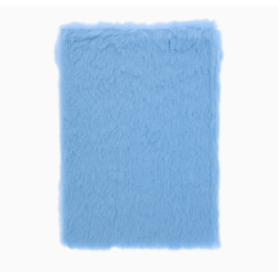 CARNET BISOUNOURS TOUTRONCHON