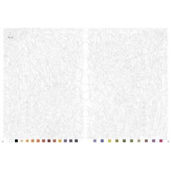 Coloriages VITRAUX TOME 2 DISNEY