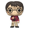 FIGURINE FUNKO POP HARRY POTTER N°132