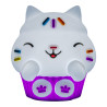 CAKEY CAT - Lampe en Silicone Rechargeable 16cm GABBY CHAT