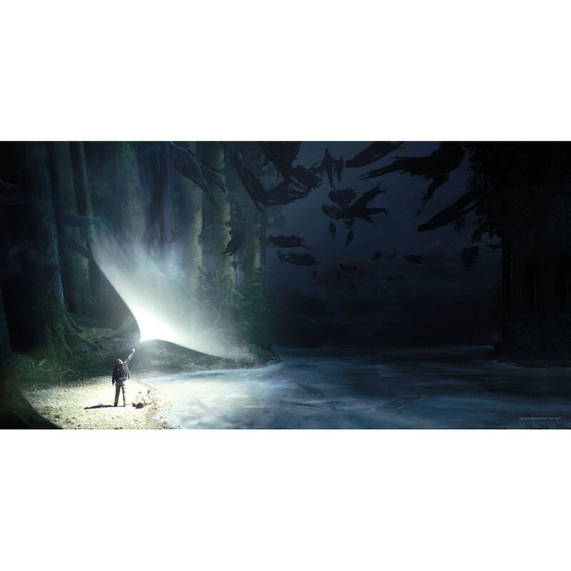 tableau en verre Harry Potter