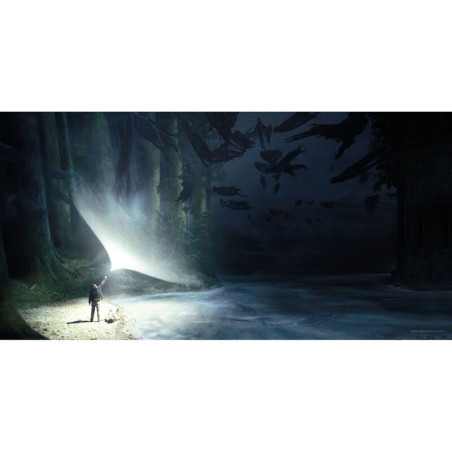 tableau en verre Harry Potter