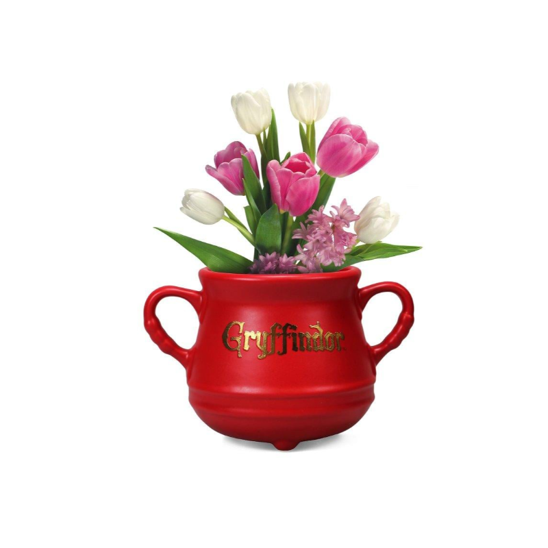 HARRY POTTER - Chaudron Gryffondor - Pot de fleur mural
