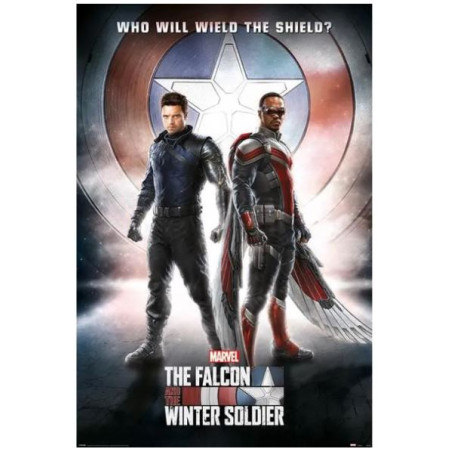 Poster Faucon et le soldat de l'hiver