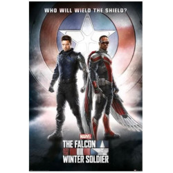 Poster Faucon et le soldat de l'hiver